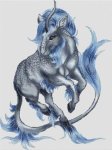(image for) Kirin - Seahorse
